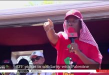 Político sudafricano Julius Malema: “Hamás no hizo nada malo; Cuando estás bajo ocupación, disparas a matar, eso es lo que hizo Nelson Mandela; Cuando tomemos el poder, armaremos a Hamás y eliminaremos la Embajada de Israel”
