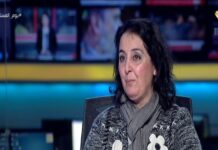 Periodista libanesa Abir Bassam: “Me siento muy complacida cuando Hezbollah ataca Safed; ahí es donde viven los judíos asquenazíes ricos y la oligarquía sionista”