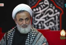 Director del grupo de expertos académicos del líder supremo iraní Khamenei, Alireza Panahian: “Si desean introducir el islam en Europa, utilicen el islam chiita; deben destruir el sionismo para liberar a los europeos y estadounidenses de este orden mundial capitalista opresor”