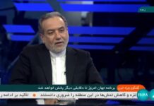 Nuevo ministro iraní de Relaciones Exteriores, Abbas Araghchi: “No buscamos resolver nuestras tensiones con Estados Unidos; tenemos que gestionar esta animosidad y reducir el precio que pagamos por ello”
