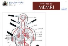 Media społecznościowe jako platforma podżegania palestyńskiego – Cześć II: Filmy instruktażowe, rady do osiągnięcia “skuteczniejszych” ataków