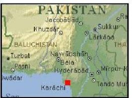 MEMRI Urdu-Pashtu Media Project Blog o Faisalu Shahzadzie, Amerykaninie pakistańskiego pochodzenia oskarżonym o nieudany zamach na Times Square