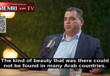 Odpowiedź Stevenowi Witkoffowi – Gaza przed 7 października